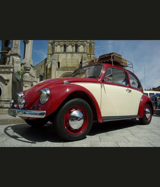 Coccinelle rouge et blanche