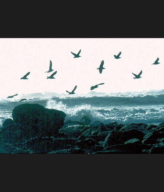 Des vagues qui ne s'arr&ecirc;tent jamais