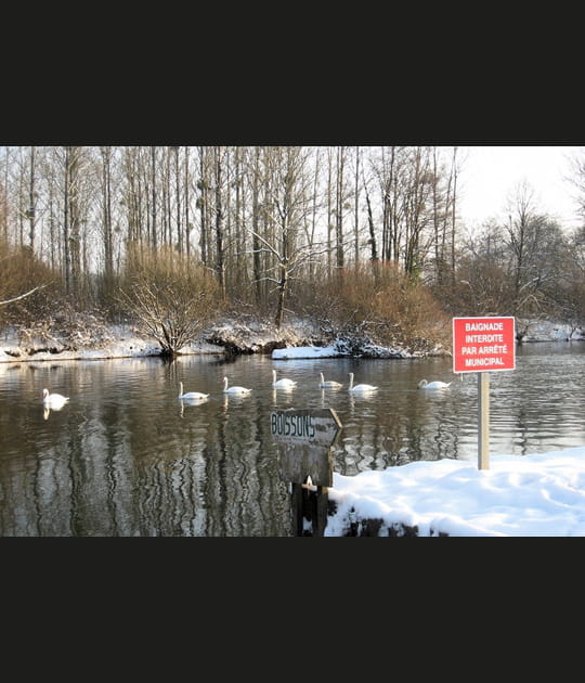 Baignade interdite... mais&nbsp;pas&nbsp;pour&nbsp;tout&nbsp;le&nbsp;monde&nbsp;!