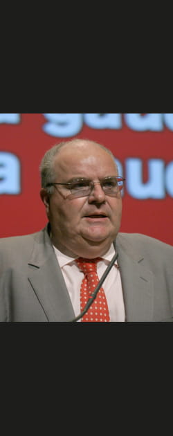 Alain Bergounioux
