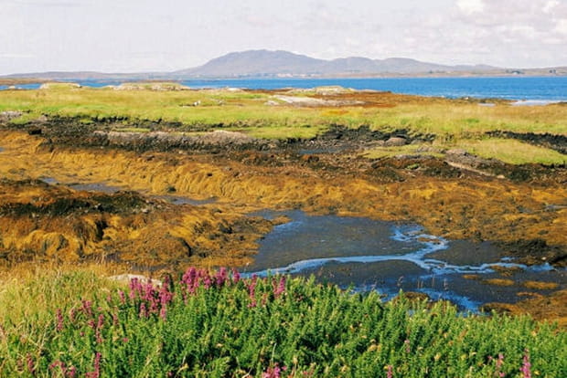 Landes aux couleurs vives