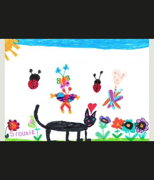 le chat d'Abigail