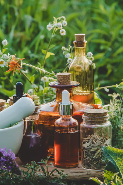 D&eacute;rives de la naturopathie&nbsp;: vers une l&eacute;gif&eacute;ration pour prot&eacute;ger les patients&nbsp;?