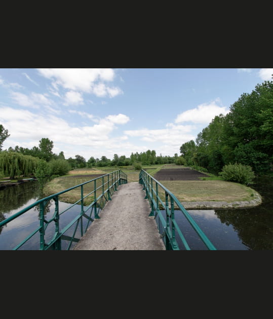 Le Vanneau