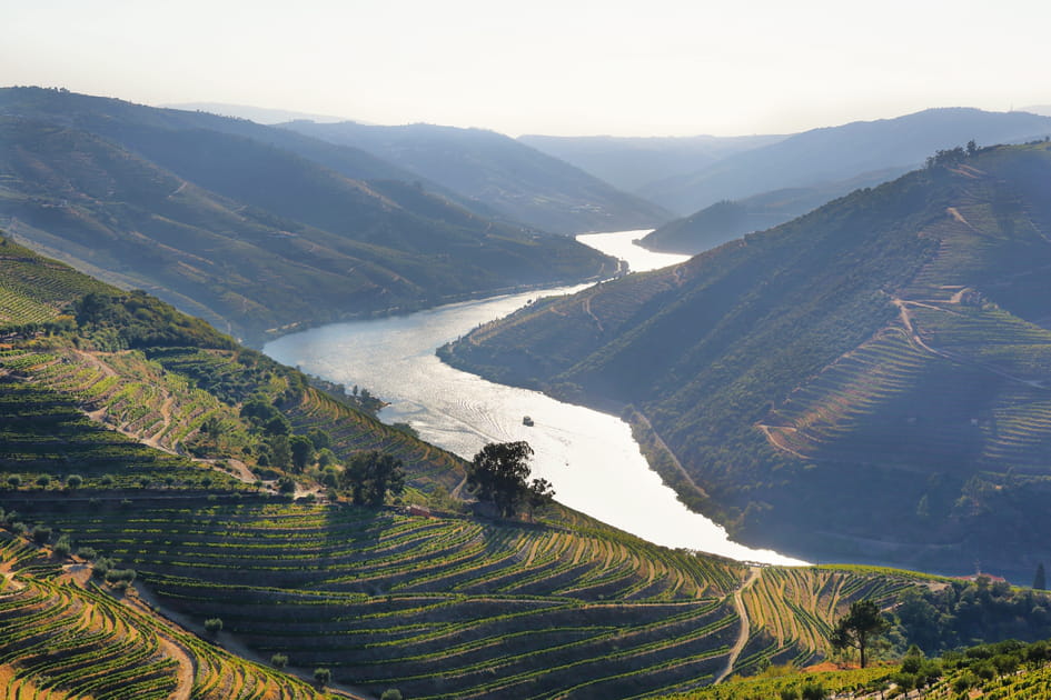 Valen&ccedil;a do Douro