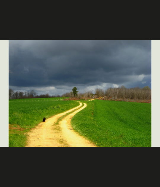 Un chemin