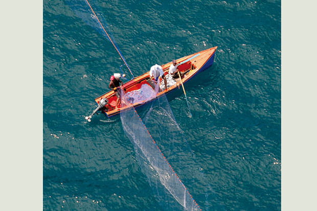 Embarcation de pêche