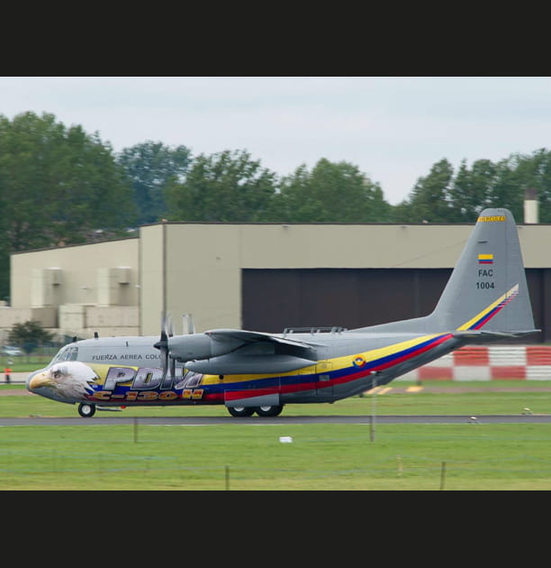 Hercule(s), le cousin d'Am&eacute;rique... du Sud