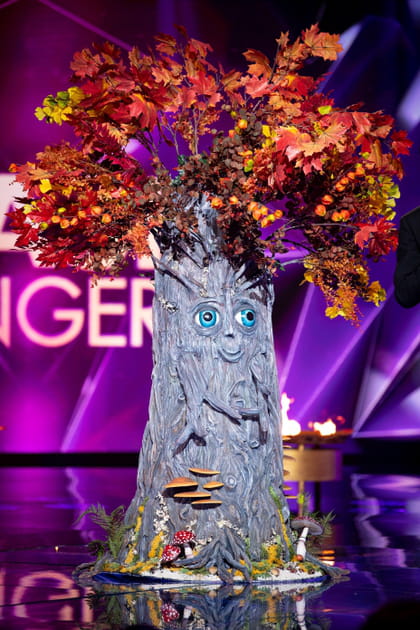 Qui peut &ecirc;tre l'Arbre&nbsp;? Pronostics