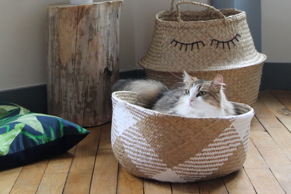 Panier d&eacute;co