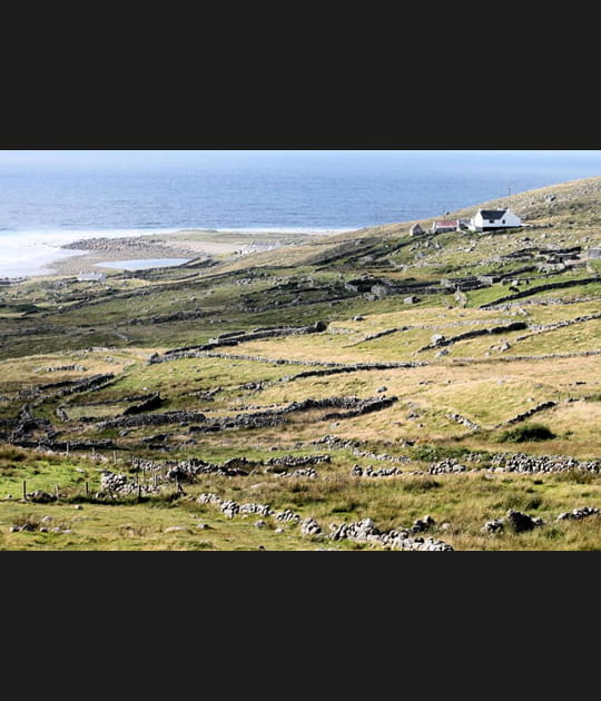 Au pays de la Guiness