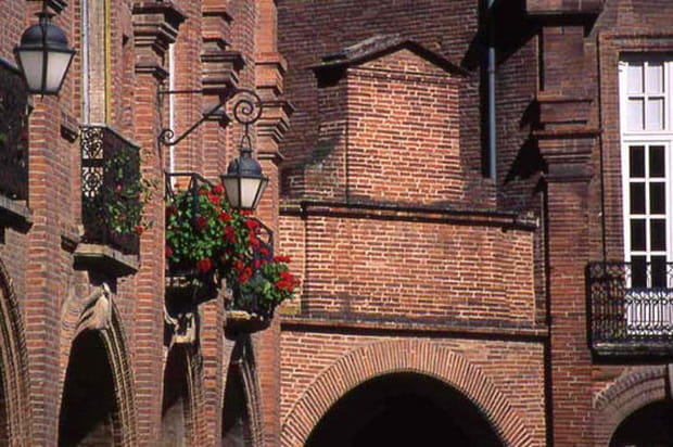 La rose du Tarn-et-Garonne