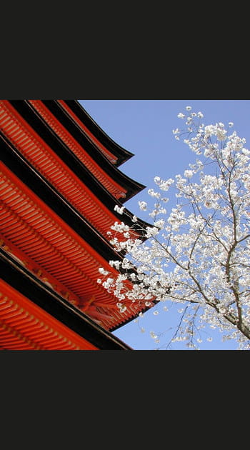 Gr&acirc;ce et rigueur au Japon