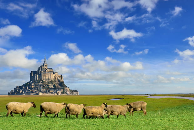Les marais salés de la Baie du Mont-Saint-Michel