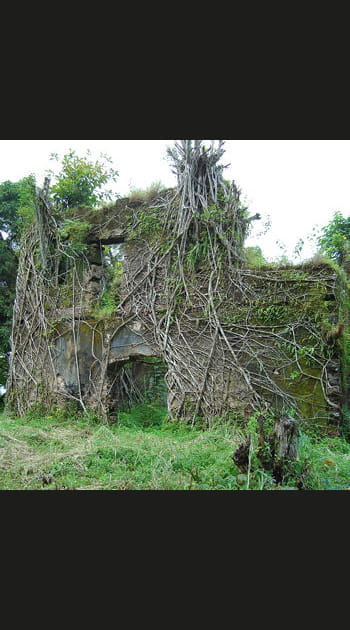 Les 15&nbsp;monuments historiques de Freetown, Sierra Leone
