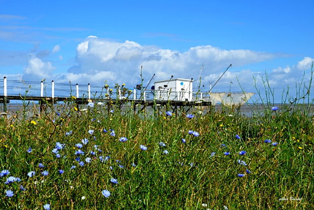 En Charente-Maritime