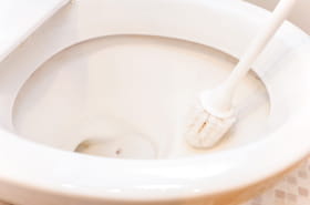 Comment se d&eacute;barrasser une bonne fois pour toutes des taches sur la cuvette des toilettes