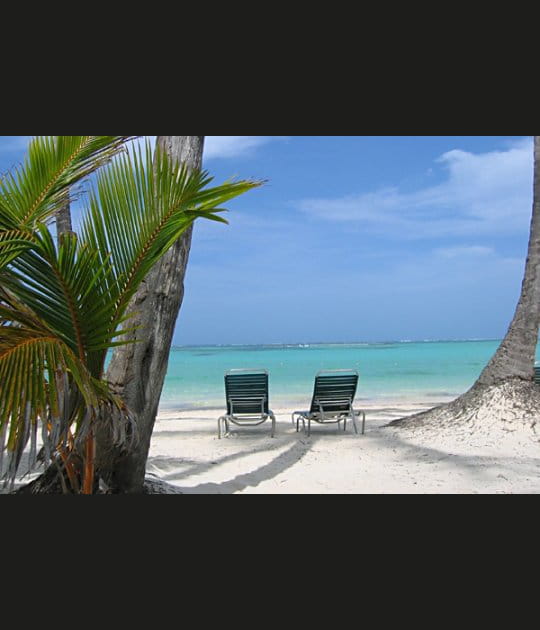 Sous les cocotiers
