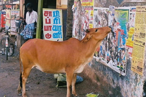 Les dernières nouvelles ?