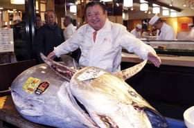 2,5&nbsp;millions d'euros pour un thon&nbsp;? Voici les 5&nbsp;animaux les plus chers du monde