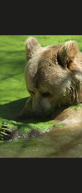 Parc zoologique de Montpellier, H&eacute;rault