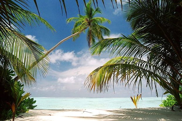 Plages de paradis