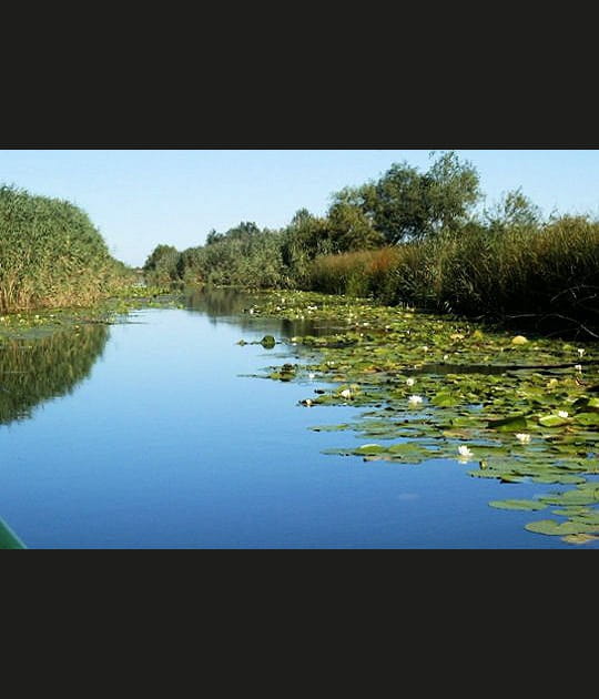 La fin du Danube et le d&eacute;but de la mer Noire