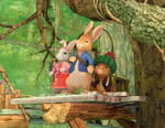 Pierre Lapin