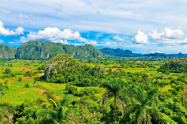 Cuba, sì ! Visite d'une île de caractère dans les Caraïbes