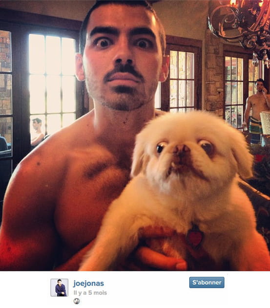 Joe Jonas et son chien : une ressemblance ?
