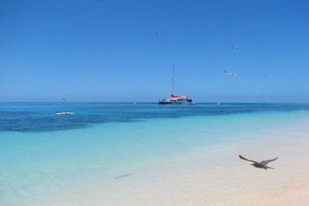 Camaieu de bleu sur la Grande Barrière de Corail