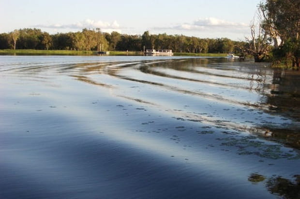 Les eaux calmes du Mary River
