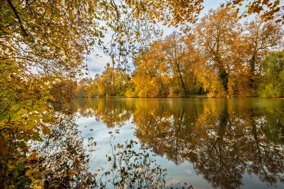 La for&ecirc;t domaniale de Compi&egrave;gne, Hauts-de-France