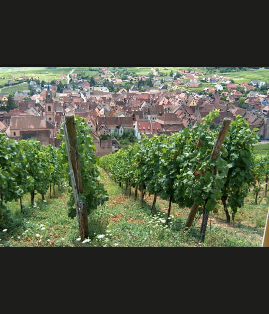 Alsace