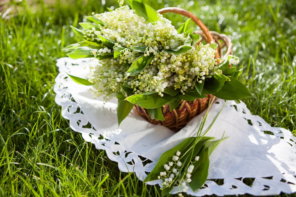 Les plus belles photos de muguet &agrave; envoyer &agrave; vos proches pour le 1er mai