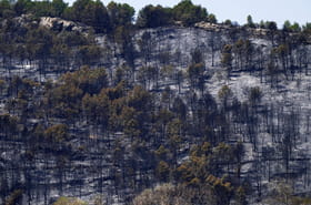 Incendie dans l'Aude&nbsp;: un &quot;acte volontaire&quot; en cause&nbsp;?