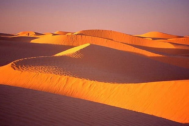 Les dunes du désert