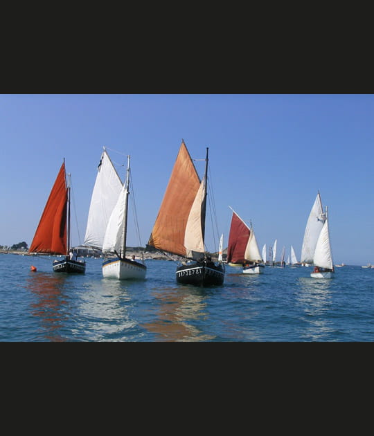 Flottille go&eacute;moni&egrave;re