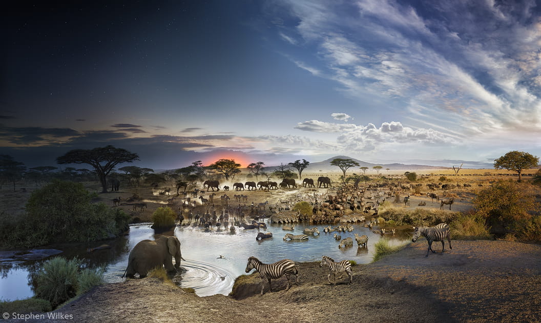 Du jour &agrave; la nuit dans le Parc national du Serengeti