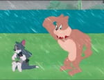 Tom et Jerry Show