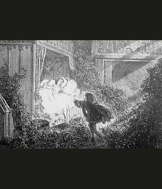 La Belle aux Bois Dormant