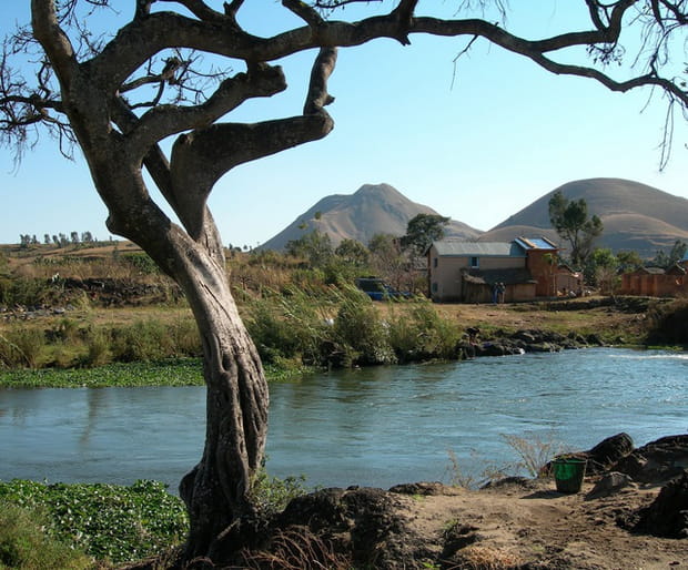 Madagascar, une île à part