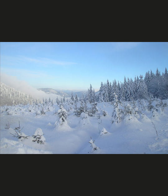 Neige dans les Vosges