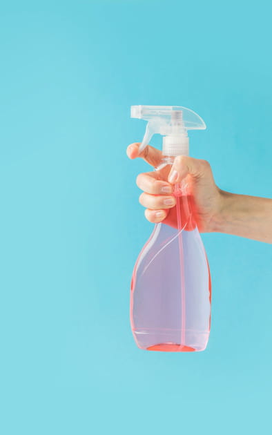 Utiliser le farn&eacute;sol comme traitement chimique pour la maison