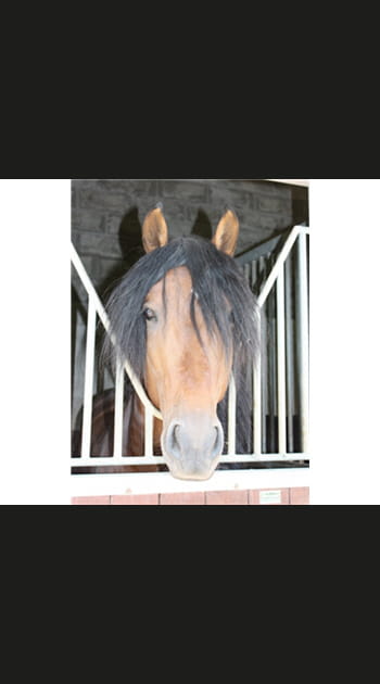 Evitez le flash direct