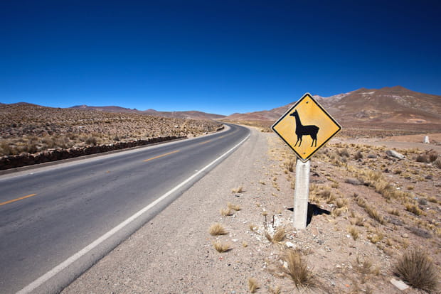 Quand la Panam est andine