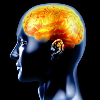 utilisons-nous vraiment que 10% de notre cerveau ?