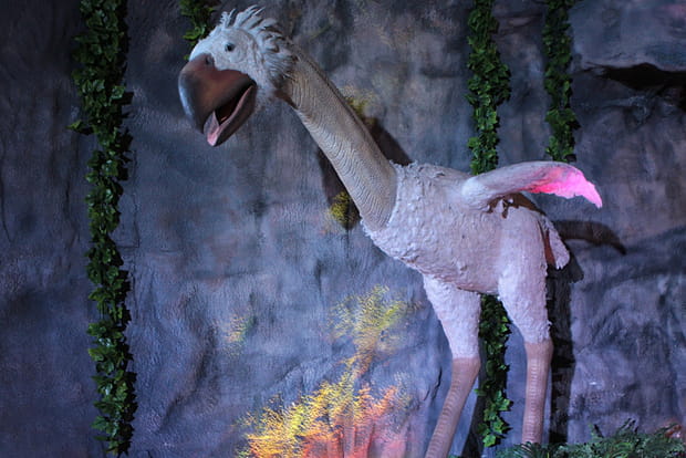 Des spécimens méconnus à découvrir