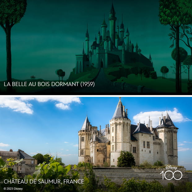 Ces lieux ont inspiré les studios Walt Disney et vous pouvez les visiter : Le château de Saumur dans "La Belle au bois dormant"