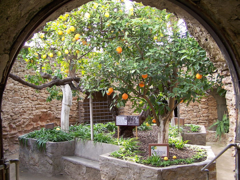 Les Forestiere Underground Gardens en Californie
